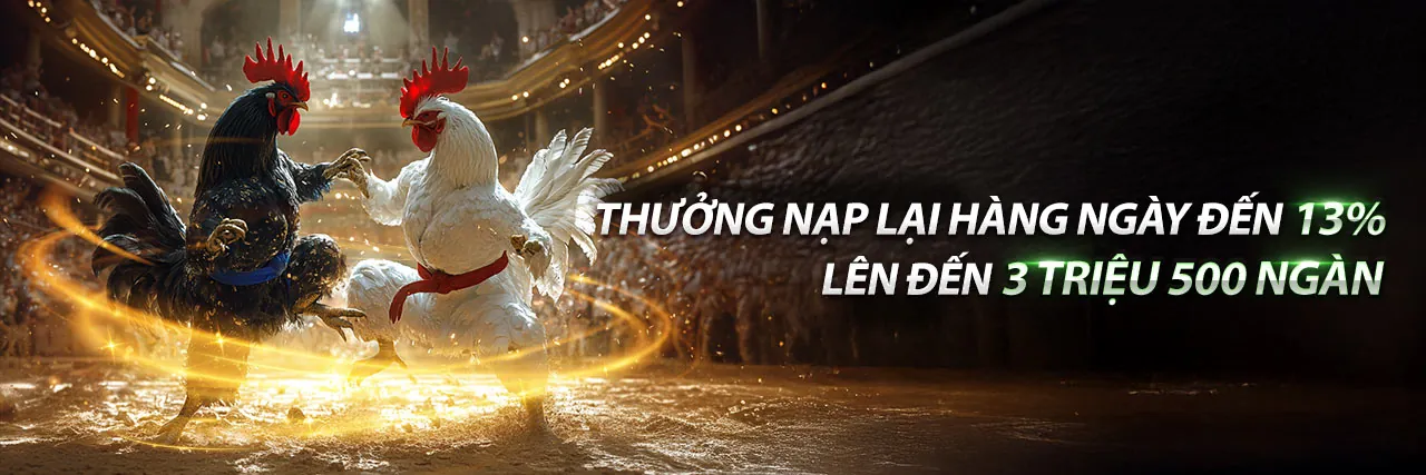Đá Gà Trực Tuyến gg8816 win
